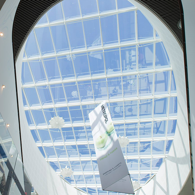 Roof Glazing